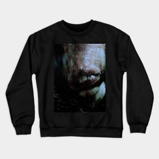 Portrait, digital collage, special processing. Weird. Alien mouth. Desaturated and dim. Crewneck Sweatshirt